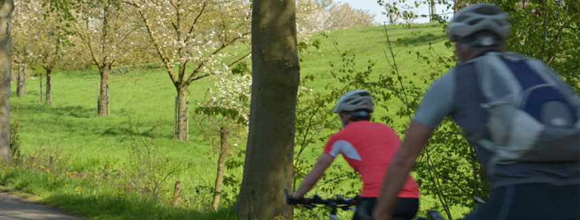 Fietsen in het Heuvelland 3