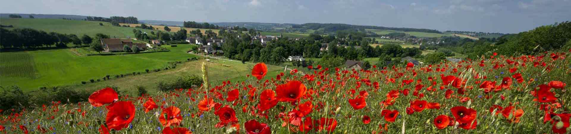 Een-stukje-buitenland-in-Nederland Een-stukje-buitenland-in-Nederland